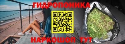 сатива Краснокаменск